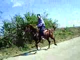 rahvanat