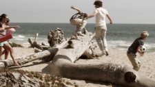 One Direction - What Makes You Beautiful