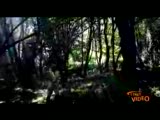 a_r_o_g - the traıler