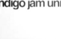 İndigo Jam Unit 'pirates' Pv