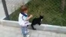 Oğlum Bak Git kedi ile şaka olmaz