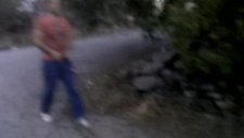 oğlum bak git yeni versiyon mutlaka izle çok komik