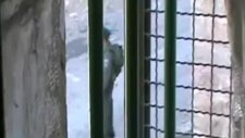 İsrail askeri Filistinli bir çocuğu tekmeledi