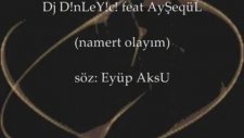 dj d!nley!c! ft ayşeqül (namert olayım)