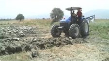 Canavar Tümosan 8095, Td100'ü Ezdiği An