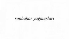 Tahir Şimşek Kırılgan Kaçak / 2013