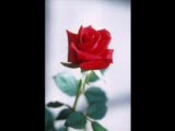 İlkay Akkaya - Agla Sevgili Yurudm İlkay Akkaya - Agla Sevgili Yurudm