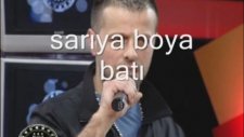 sarıya boyabatı