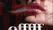 ciğerim yanıyor usta - SuSKuN PeCeLi