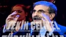 tekin çelikel-sevgi kuşun kanadında