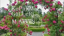 Bir Selam Sal Sabah Olsun