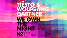 Tisto Wolfgang Gartner - We Own The Night Ft Luciana
