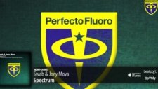 Swab Joey Mova - Spectrum Original Mix