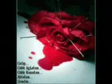14 Bahar