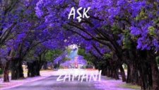 Aşk zamanı