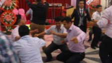 Yeniçağa Kemaller Köyü Tavşallar
