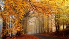 Loreena Mckennitt - The Dark Night Of The Soul