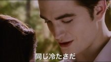 Twilight Breaking Dawn Part 2 international Trailer (2012)