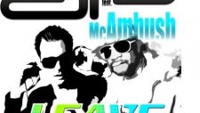 Damon Paul ftMC Ambush - Leavel