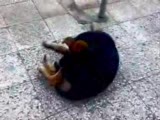 barıştırmak bizim işimiz :)))