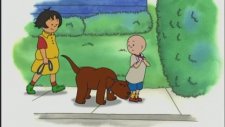 Caillou Sokakta