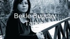 İlkay Akkaya Bekle Buğday Tanesi