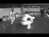 Enshin Karate
