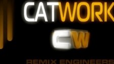 Catwork Remix Engineers Ft Pitbull
