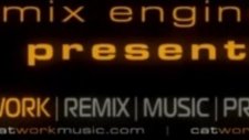 Catwork Remix Engineers Sweet Sweat Love (2012)