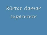 Kürtçe Damar