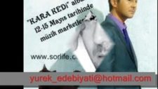 Serdar Ortaç Denemek İstersen 2012