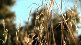 M83 - We Own The Sky M83 - We Own The Sky