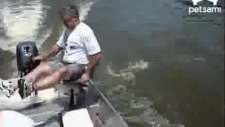 Tekneye atlayıp insanlara saldıran balık
