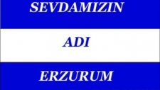 Dj Fahri Unutmak İstemedim