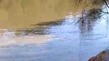 Sakarya Nehri