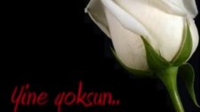 Vildan Ama Yoksun
