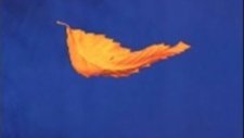 New Order - True Faith