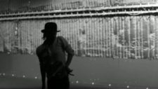 Radiohead Lotus Flower