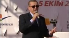 Başbakan'ın Arı İle İmtihanı!