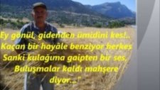 Can Oğul
