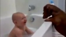 Bebekleri Güldüren Köpekler