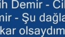 Şu Dağlarda Kar Olsaydım