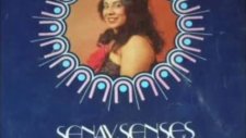 Şenay Şenses - Akşam Oldu Hüzünlendim Long Play