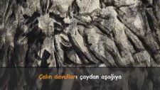 Sevcan Orhan - Selanik