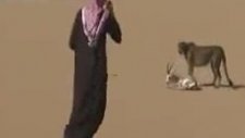 Evcil çita ile sıradışı av