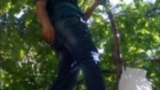 Kalbimdesin