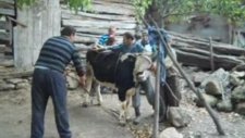 Çamyatağı Köyü Kurban Bayramı