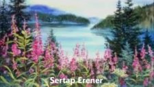 Sertap Erener - Hadi Yüreğim Ha Gayret