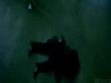 black eyed peas pump it