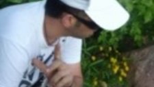 Dçd Türkisch Slow Non Stop